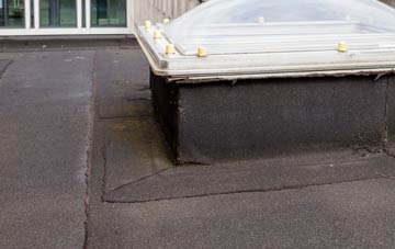 disadvantages of Aldingbourne flat roofs