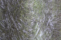 Aldingbourne fibreglass roof work